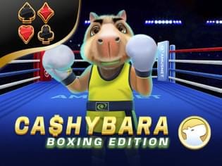 Cashybara Boxing Edition thumbnail