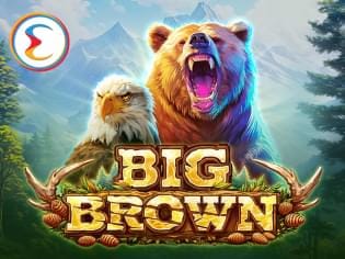 Big Brown game cover